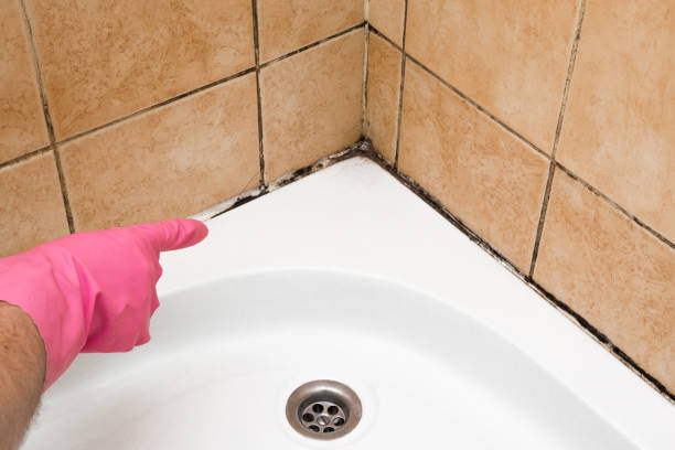 Best Mold Testing  in Richfield, MN